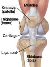 understanding knee replacement healthy