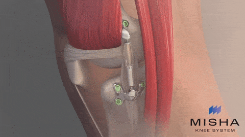 E. Animated GIF Walking Animation